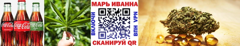 Купить где  Буйнакск  Canna-Cookies конопля 