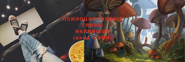 прущая мука Карпинск