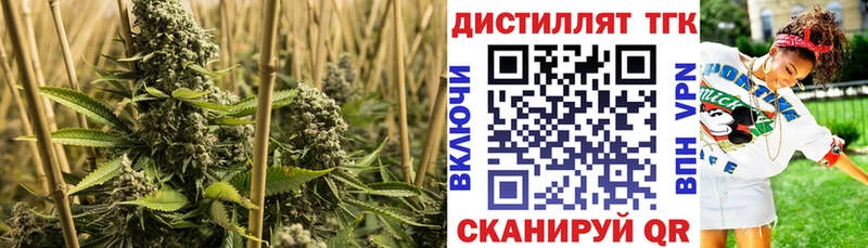 Дистиллят ТГК Wax  Купить  Буйнакск 