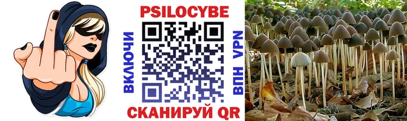 Галлюциногенные грибы Magic Shrooms  Купить закладки  Буйнакск 