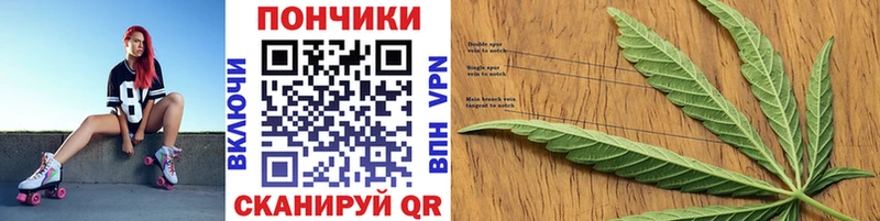 Шишки марихуана Bruce Banner  Купить закладки  Буйнакск 